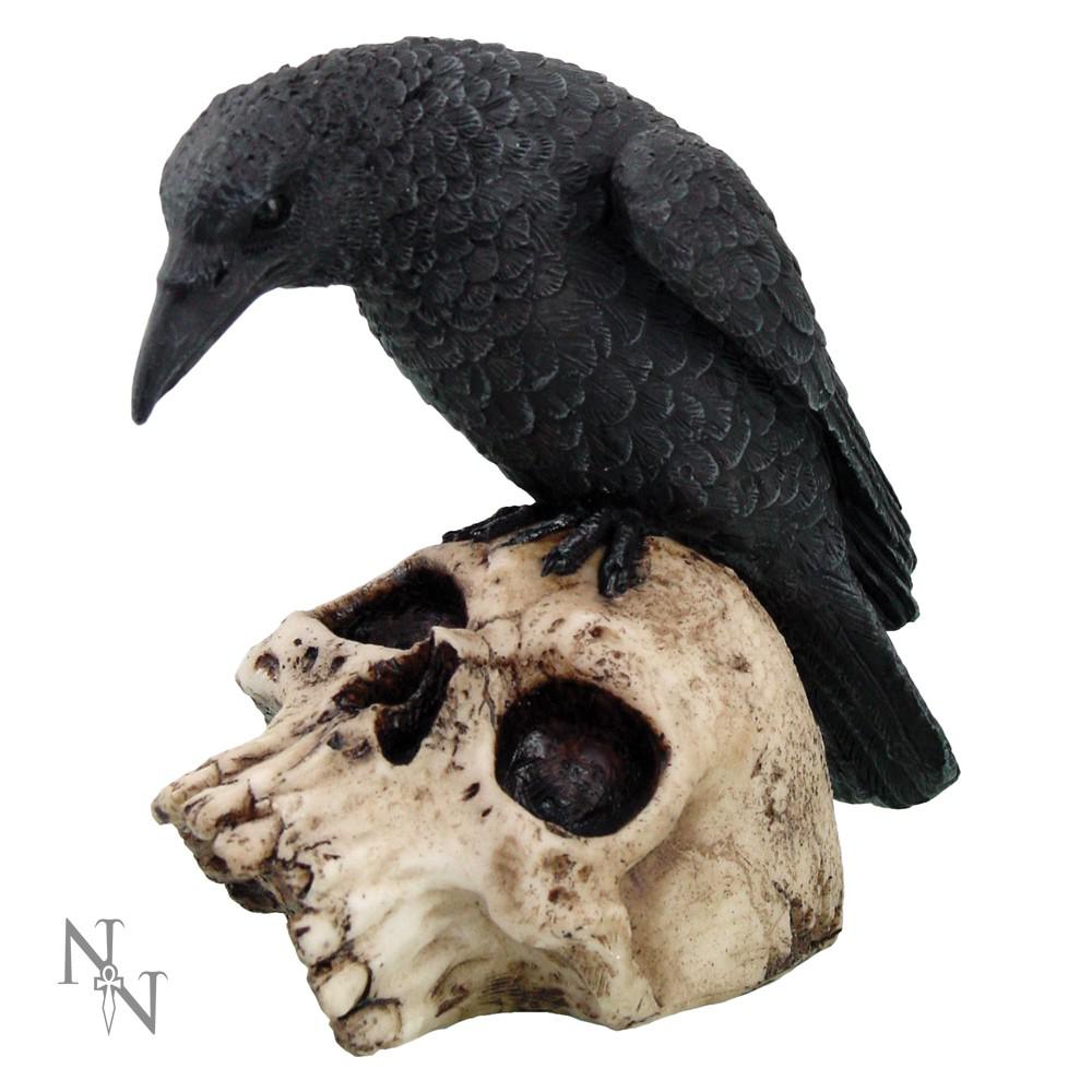 Nemesis Now - Ravens Remains Figurine - Noir